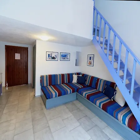 Machi נאו קלימה