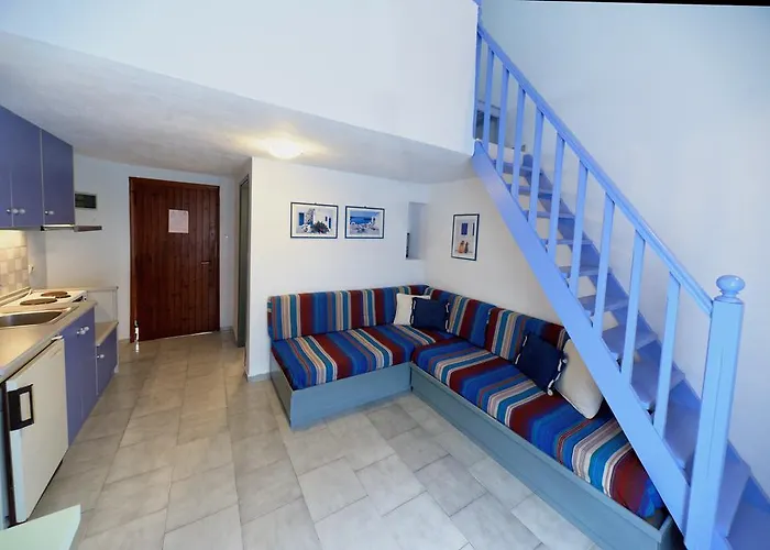 Machi נאו קלימה